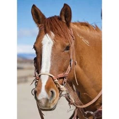 Weaver Leather Weaver Justin Dunn Bitless Bridle -Equestrian Supplies 100296 3