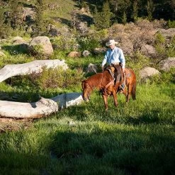 Weaver Leather Weaver Western Edge Browband Headstall 7 Weaver Leather Weaver Western Edge Browband Headstall -Equestrian Supplies 100524 3