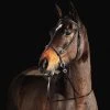Horze Bitless Bridle -Equestrian Supplies 10081BLF 1