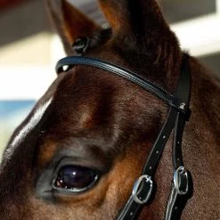 Horze Bitless Bridle 9 Horze Bitless Bridle -Equestrian Supplies 10081BLF 2
