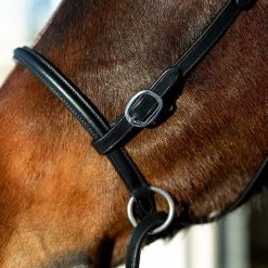 Horze Bitless Bridle 11 Horze Bitless Bridle -Equestrian Supplies 10081BLF 4