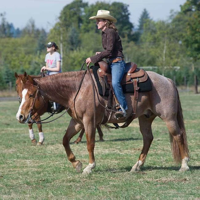 Toklat CoolBack Standard Pad 4 Toklat CoolBack Standard Pad - Image 2