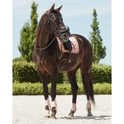 Horze Coventry Dressage Saddle Pad -Equestrian Supplies 17417CPIP 3