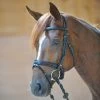 Kavalkade Filip Crank Noseband Bridle