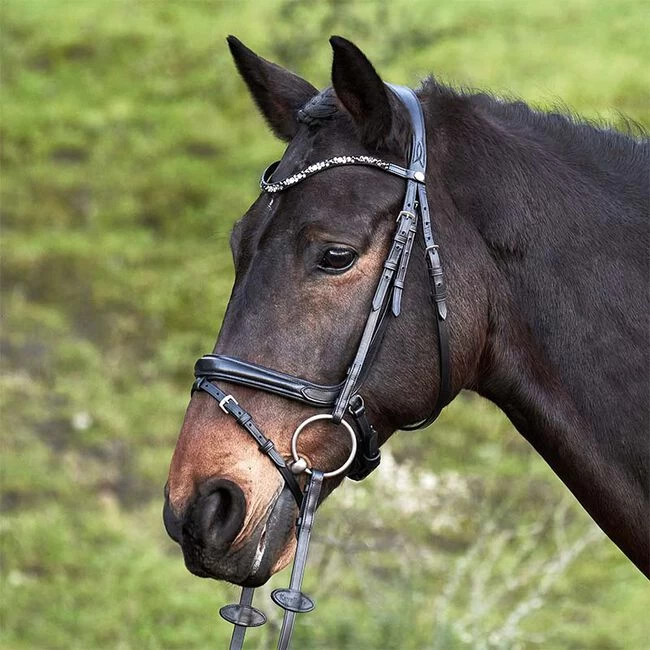Kavalkade Ivette Patent Leather Dressage Bridle 3 Kavalkade Ivette Patent Leather Dressage Bridle