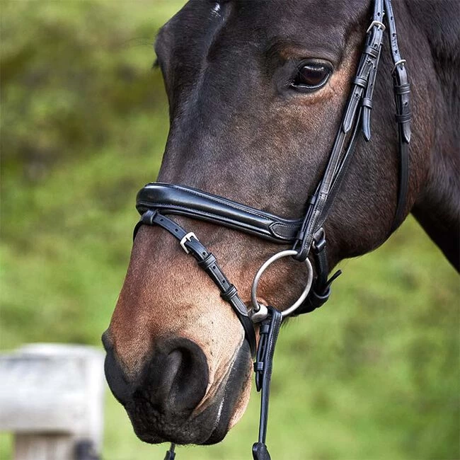 Kavalkade Ivette Patent Leather Dressage Bridle 4 Kavalkade Ivette Patent Leather Dressage Bridle - Image 2