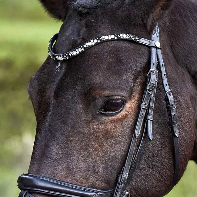 Kavalkade Ivette Patent Leather Dressage Bridle 5 Kavalkade Ivette Patent Leather Dressage Bridle - Image 3