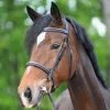 Kavalkade Akila Hunter Bridle