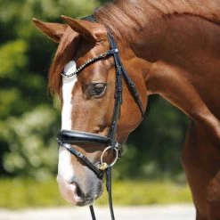 Kavalkade Grey Bridle -Equestrian Supplies 19041BKGYWB 4