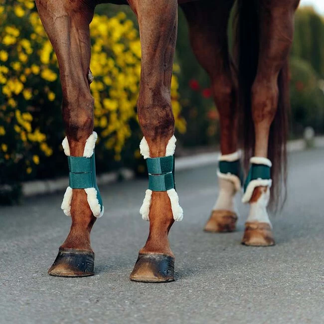 Horze Caliber Tendon Boots With Faux Fur Lining 7 Horze Caliber Tendon Boots With Faux Fur Lining - Image 5