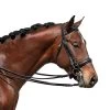 Bobby's English Tack Signature Dressage Crank Flash Bridle -Equestrian Supplies 2950FBK3 1