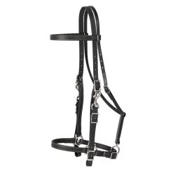 Weaver Leather Weaver Brahma Webb Halter Bridle