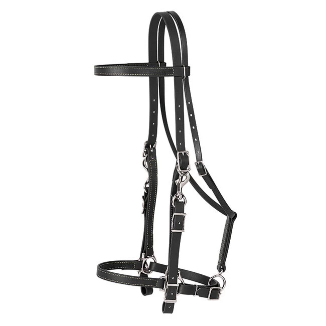Weaver Leather Weaver Brahma Webb Halter Bridle 3 Weaver Leather Weaver Brahma Webb Halter Bridle