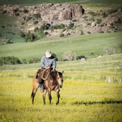 Weaver Leather Weaver Contoured Two-Tone Felt Saddle Pad - Black/Gray -Equestrian Supplies 359326 2