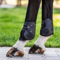 Waldhausen Memory Foam Fetlock Boots