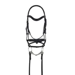 Ovation Rosegold Dressage Bridle With Traditional Noseband And Flash