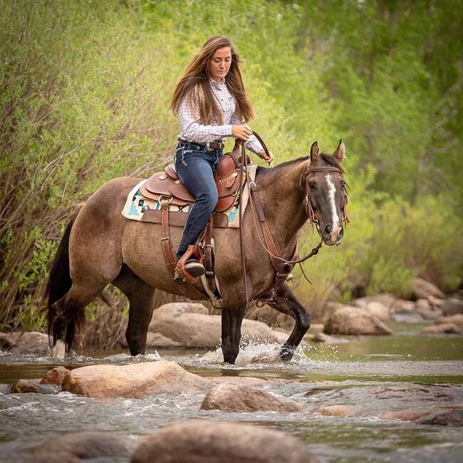 Weaver Leather Weaver Working Tack Extra Heavy Harness Leather Quick Change Reins 4 Weaver Leather Weaver Working Tack Extra Heavy Harness Leather Quick Change Reins - Image 2