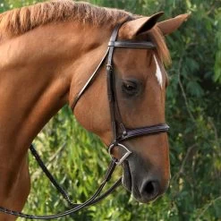 KL Select Red Barn Icon Hunter Bridle