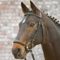 Waldhausen Hannover Star Bridle