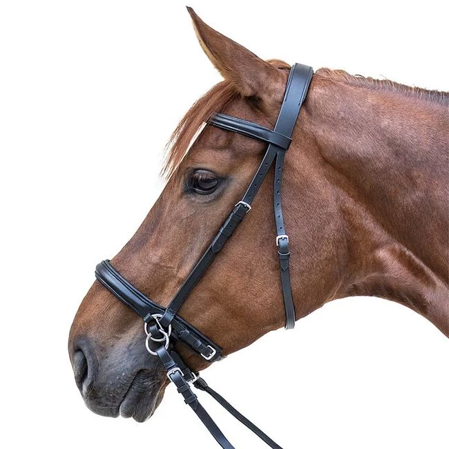 Waldhausen Bitless Bridle 3 Waldhausen Bitless Bridle