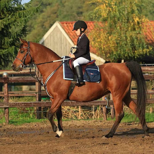 Zilco Ultra Endurance Bridle 4 Zilco Ultra Endurance Bridle - Image 2