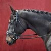Bobby's English Tack Silver Spur Padded And Raised Snaffle Bridle With Flash 2 Bobby's English Tack Silver Spur Padded And Raised Snaffle Bridle With Flash -Equestrian Supplies BK9393 1
