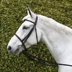 Bobby's English Tack Silver Spur Raised Snaffle Bridle
