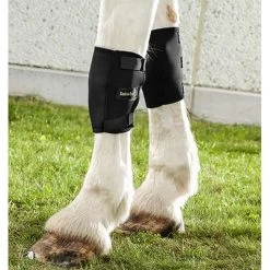 Back On Track Therapeutic Horse Knee Boots - Single -Equestrian Supplies BOT6112 2