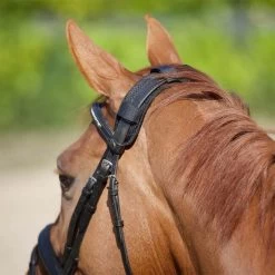 Back On Track Therapeutic Poll Cover -Equestrian Supplies BOTPOLL 3