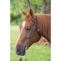 Circle Y Classic Floral Browband Headstall 9 Circle Y Classic Floral Browband Headstall -Equestrian Supplies CY02338341 2