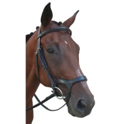 Nunn Finer Innovativo English Bridle