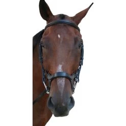 Equestrian Supplies -Equestrian Supplies INNOVBKH 2