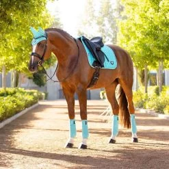 LeMieux Loire Classic Dressage Square Pad -Equestrian Supplies IT01327005 2