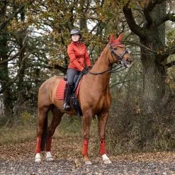 LeMieux Loire Classic Dressage Square Pad -Equestrian Supplies IT01345005 2