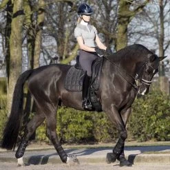 LeMieux Carbon Mesh Dressage Pad -Equestrian Supplies IT01359005 4