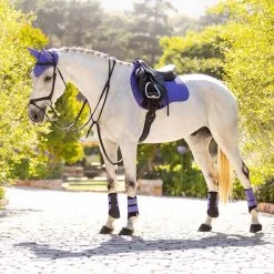 LeMieux Suede All Purpose Pad -Equestrian Supplies IT01478005 2