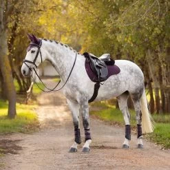 LeMieux Suede All Purpose Pad -Equestrian Supplies IT01481005 2