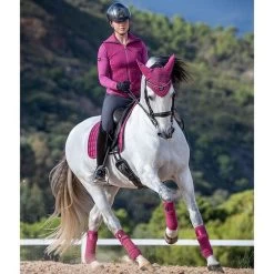 LeMieux Loire Classic Dressage Square Pad -Equestrian Supplies IT02476005 2