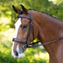 KL Select Hampton Bridle