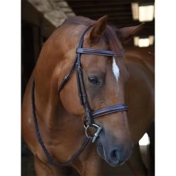KL Select Black Oak Poppy Hunter Bridle