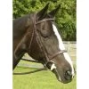 KL Select Red Barn Sovereign Bridle -Equestrian Supplies KL510702