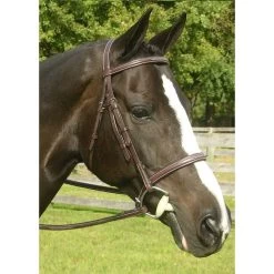 KL Select Red Barn Sovereign Bridle