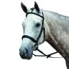 Collegiate Essential Padded Raised Cavesson Bridle -Equestrian Supplies KW86320