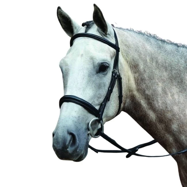 Collegiate Essential Padded Raised Cavesson Bridle 3 Collegiate Essential Padded Raised Cavesson Bridle