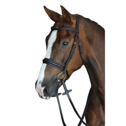 Collegiate Mono Crown Padded Raised Cavesson Bridle
