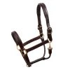 Perri's Leather Fancy Stitched Leather Halter 1 Perri's Leather Fancy Stitched Leather Halter -Equestrian Supplies P106HHVHV