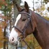 Shires Avignon Ocala Bridle -Equestrian Supplies S50001C 1