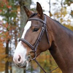 Shires Avignon Ocala Bridle