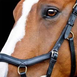 Horseware Rambo Micklem 2 Competition Bridle -Equestrian Supplies SBMOM2K000SH 2