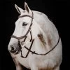Horseware Rambo Micklem 2 Deluxe Competition Bridle 2 Horseware Rambo Micklem 2 Deluxe Competition Bridle -Equestrian Supplies SBMUM2NAB0SH 1